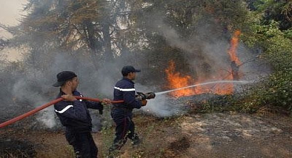 اشتوكة: النيران تلتهم 5 هكتارات من الغطاء النباتي بـ”أوكنز”