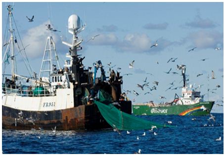 قانون جديد يُشدد الخناق على “مافيات الصيد البحري” في المغرب