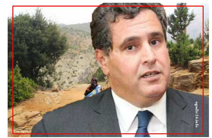 أخنوش يدعو لتنمية املةالعالم القروي لتحقيق تنمية وطنية شاملة