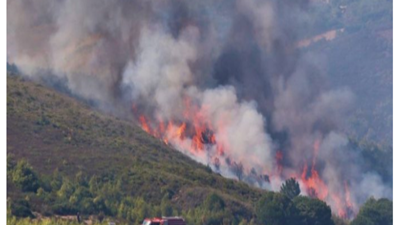 النيران تندلع من جديد في المحيط الغابوي بإقليم العراش