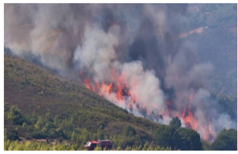النيران تندلع من جديد في المحيط الغابوي بإقليم العراش