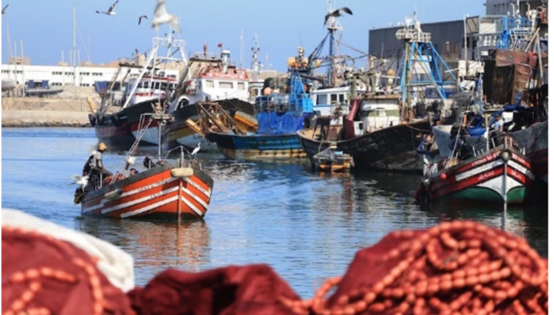 طول فترة الراحة البيولوجية يفتح النقاش حول تعويض الصيادين في المغرب