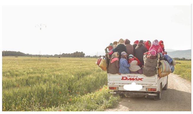 حقوقيون يطالبون بإعمال الرقابة وتحسين ظروف العاملات الفلاحيات