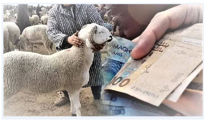 ارتفاع مهول لأسعار الأضاحي يصدم المغاربة