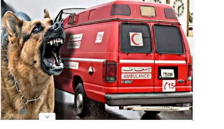 .مصرع سيدة حامل وإصابة 19 شخصا في حادثة سير خطيرة