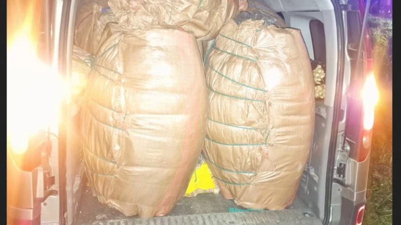 الدرك الملكي يحجز مخدرات بالجديدة